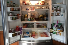 Main Fridge